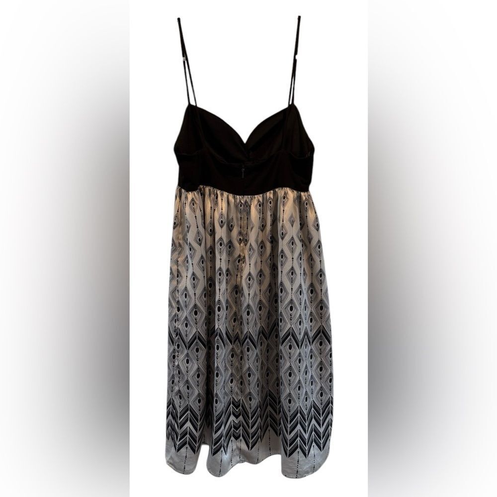 Maggy London Cream and Black Midi Dress - Picture 5 of 6